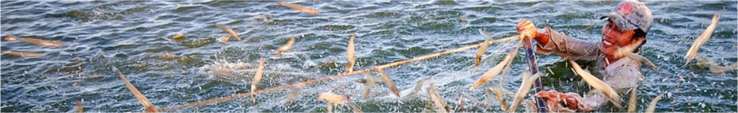 Hình ảnh này chưa có thuộc tính alt; tên tệp của nó là hinh-nen-trang-viet-8-1.png